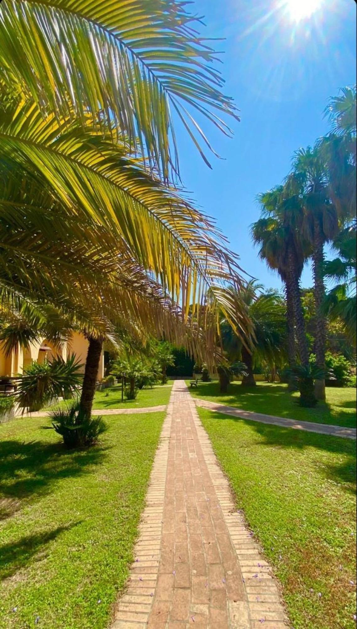 San Michele Apartments&Rooms Catanzaro Exterior foto