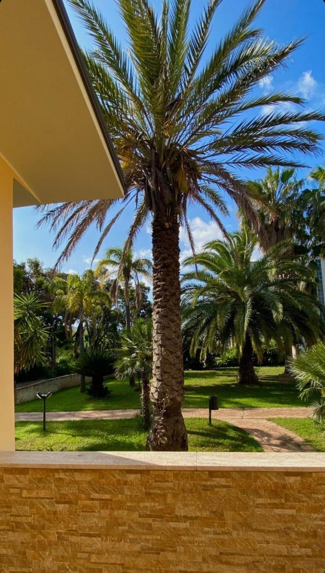 San Michele Apartments&Rooms Catanzaro Exterior foto